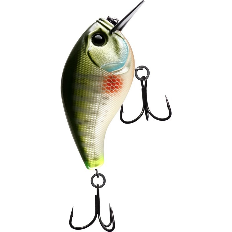 13 Fishing Scamp Square Bill|E-SC15-GL|1.5