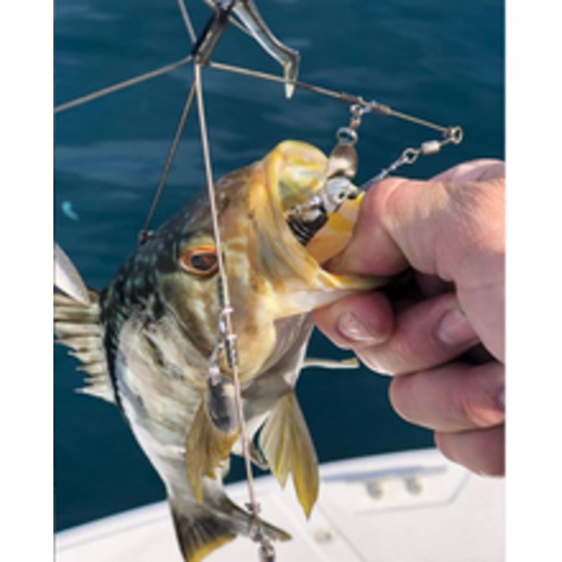 Coolbaits Recon A-Rig|5 Wire Bladed