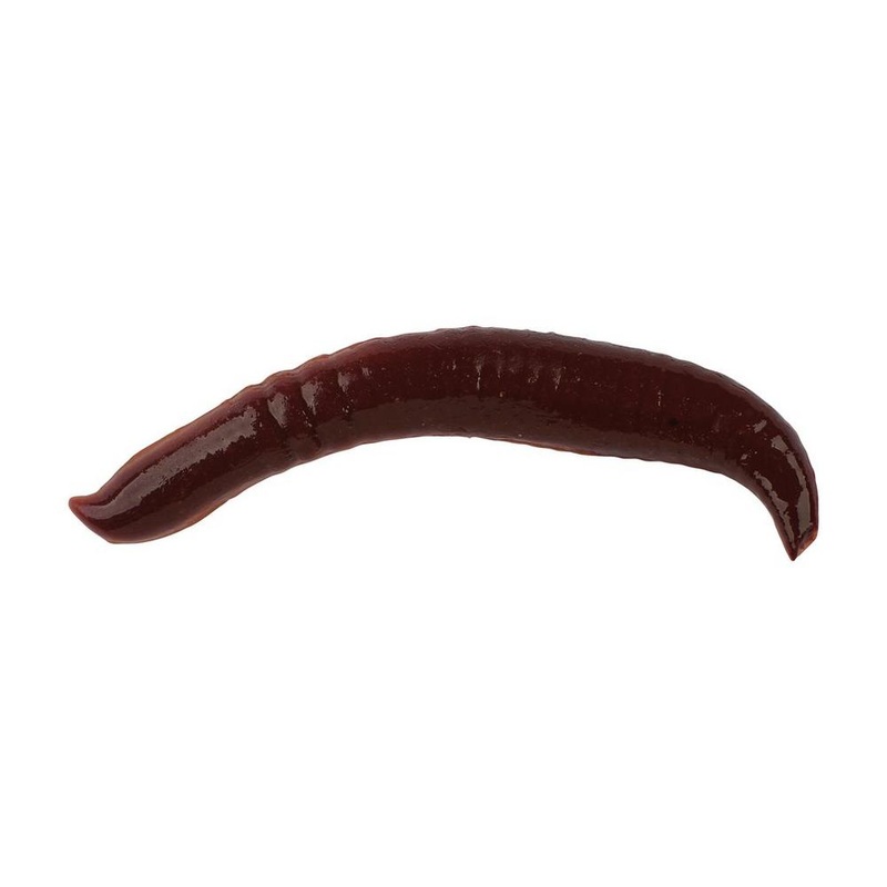 Berkley Gulp Pinched Crawler 2