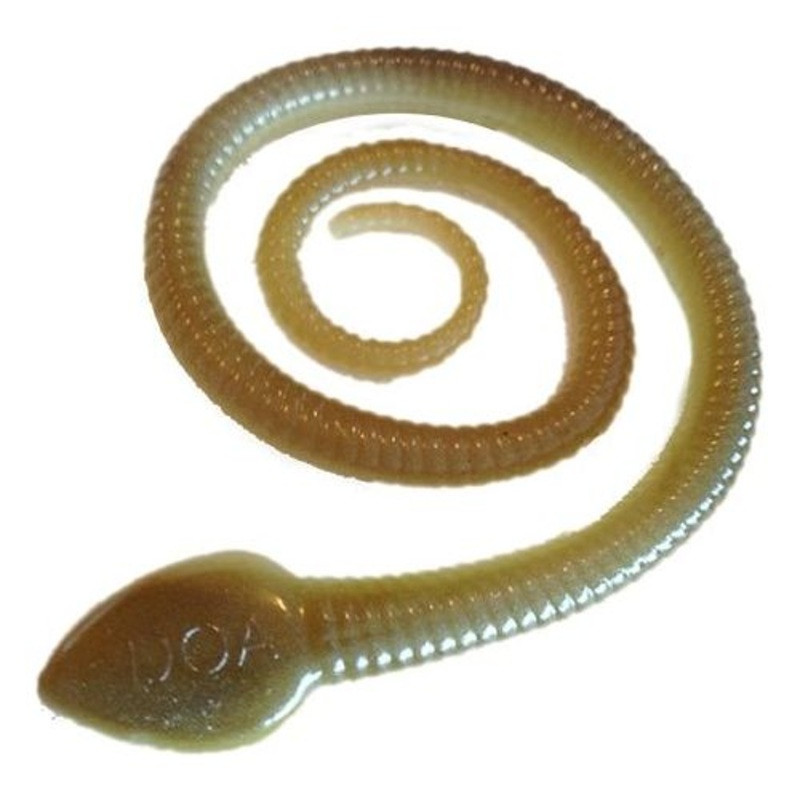 DOA C.A.L. Sna-Koil Worm 12 Qty 6 Arkansas Glow