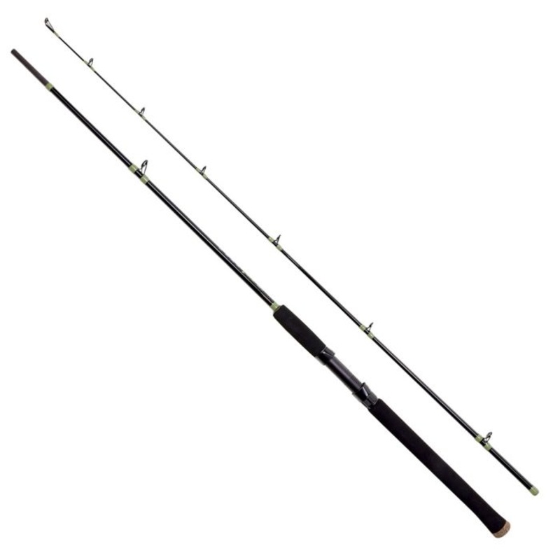 Eagle Claw ECCAT96C Cat Claw 2 Casting Catfish Rod 9'6 2 Pc
