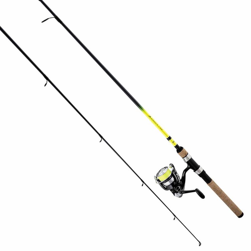 Daiwa D-Shock Ds With J-Braid Spinning Combo