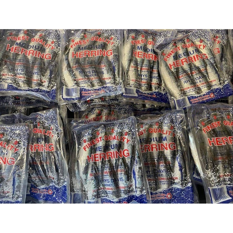Rhys Davis Finest Quality Herring Frozen Medium 7-8