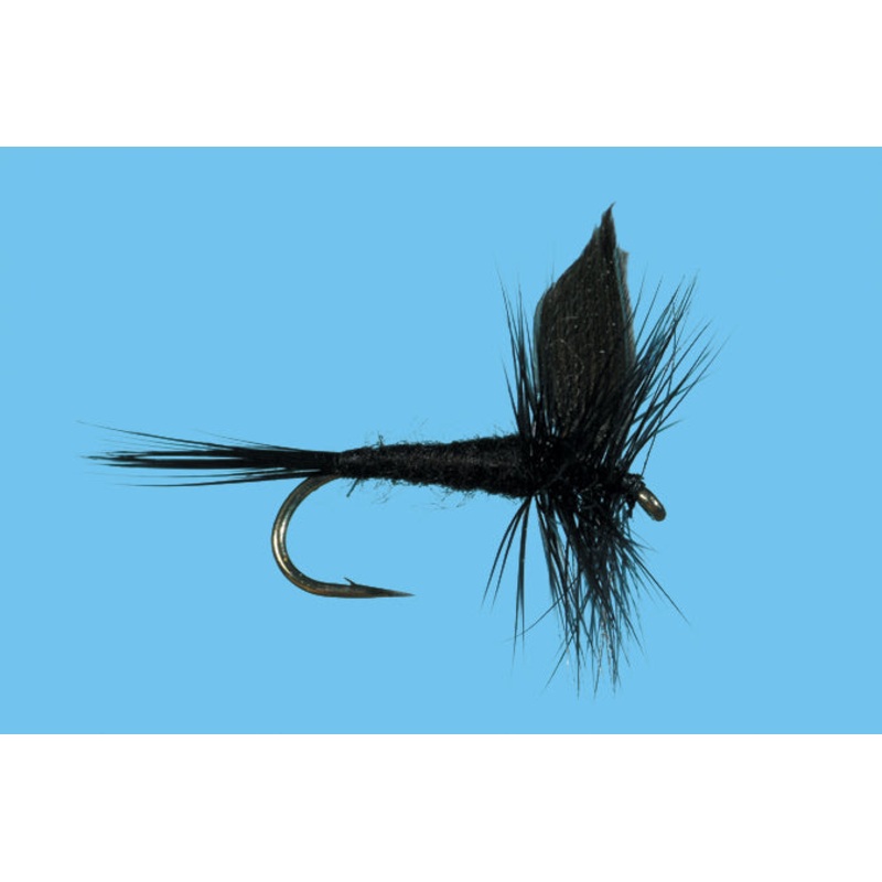 Solitude Black Gnat|Black|12|14|16|18