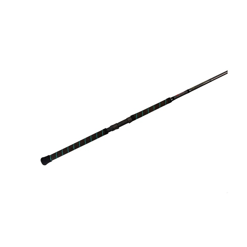 Phenix Abyss Spinning Rod|12-30
