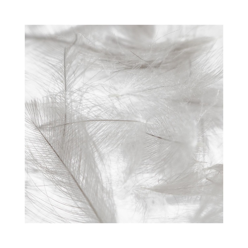 Hareline Dubbin CDC Cul De Canard Feathers Color Natural Dun