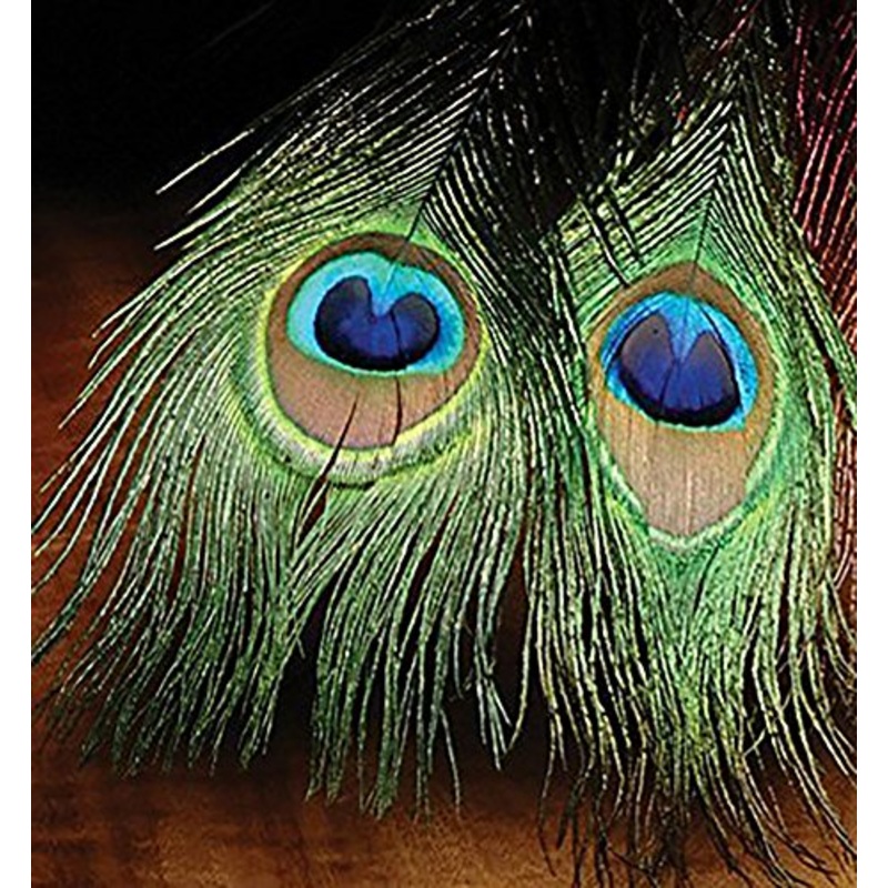 Hareline Peacock Eyed Sticks-Natural