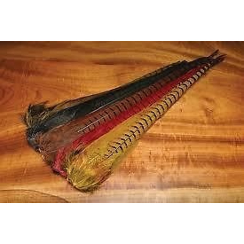 Ringneck Pheasant Tail Clump - Fly Tying