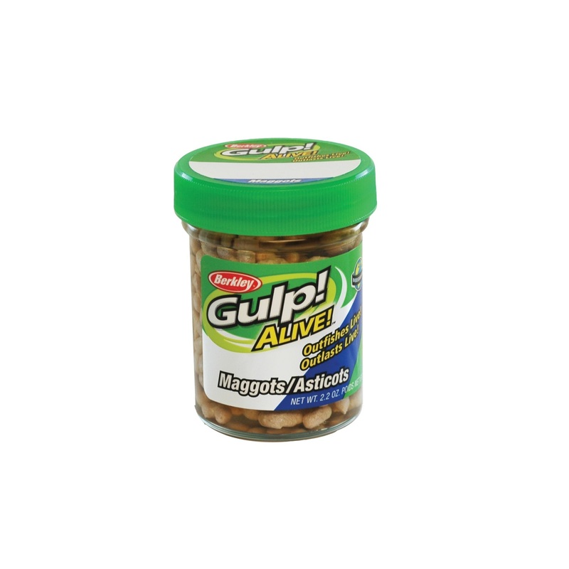 Berkley Gulp! Alive! Maggots|1"|White