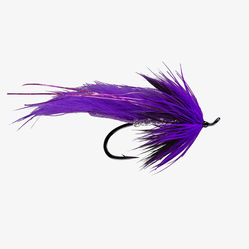 Rio's Bruiser|Black/Blue|Purple/Black|1/0