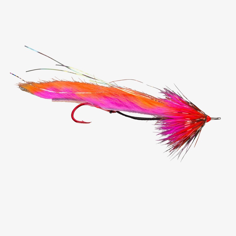 Rio's String Leech|Pink/Orange|2