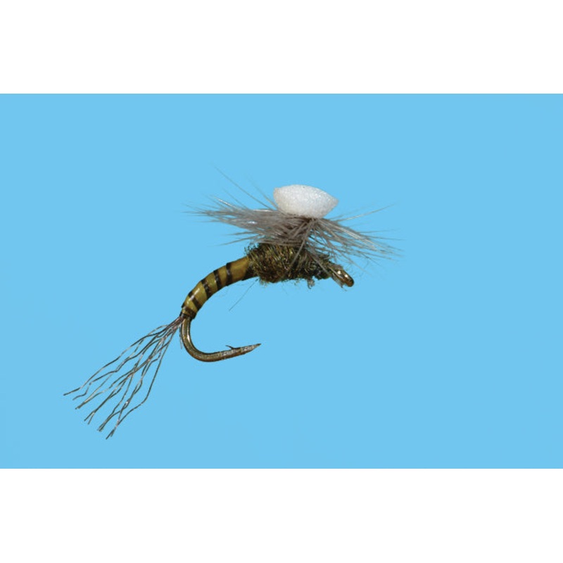 Solitude Brooks Sprout Midge|Olive|20