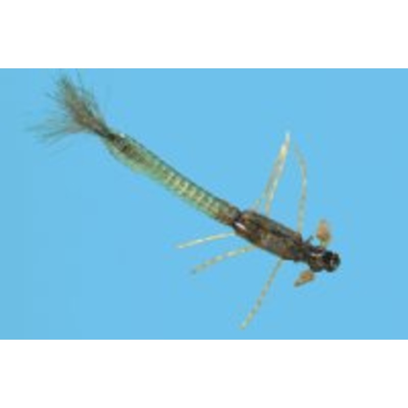 Solitude Ultra Damsel Nymph|Olive|14