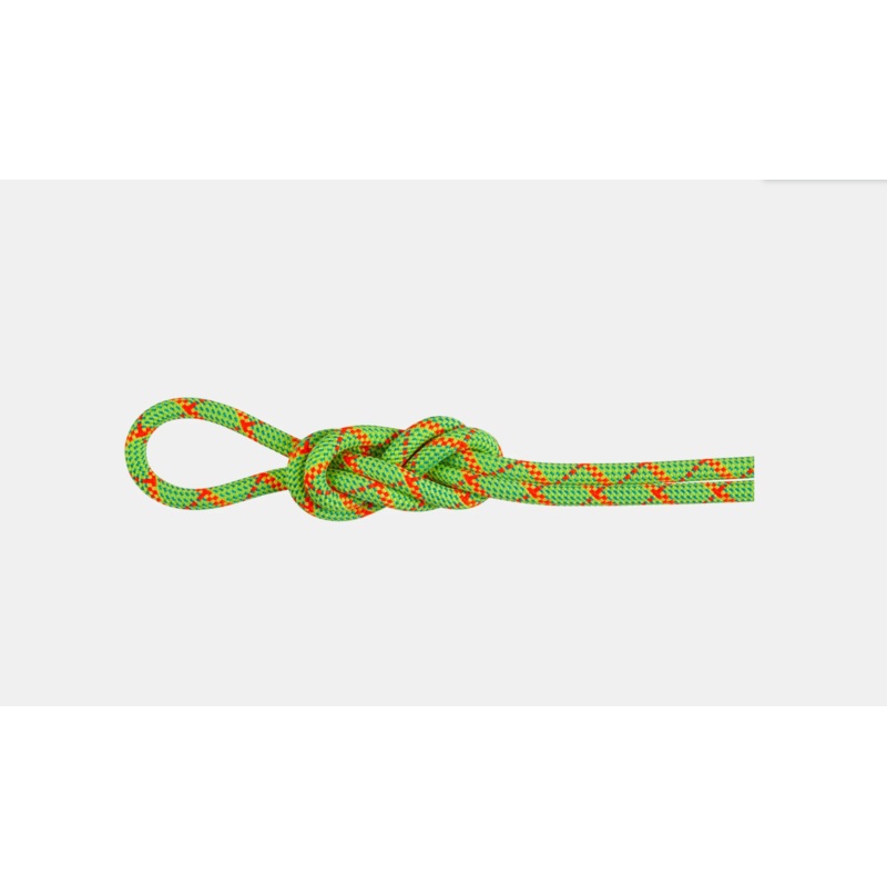Mammut 8.0 Alpine Core Protect Dry Rope