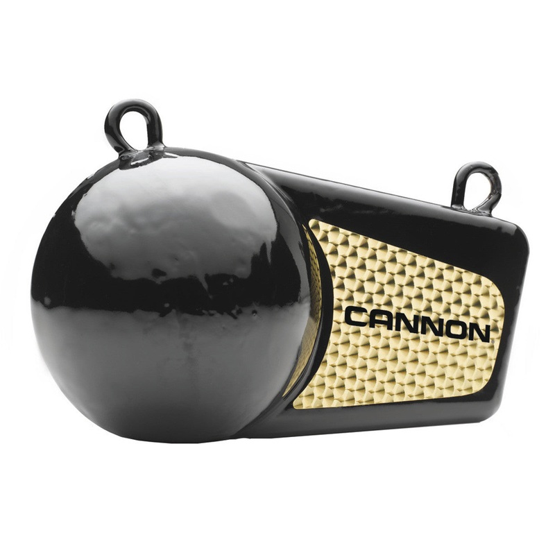 Cannon Flash Weight 10lb